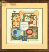 Dimensions 73543 Savannah Birth Record