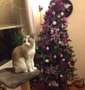 first christmas