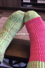Passé empiétant Socks by Virginie H.-French-Free