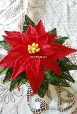Poinsettia