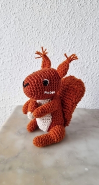 squirrel