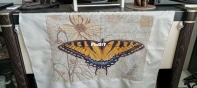 Vintage Butterfly.   By Chimera.