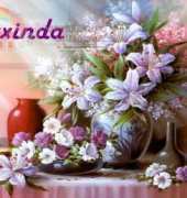 Arxinda - Lilliums