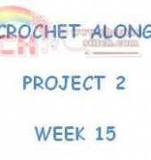 CROCHET ALONG - PROJECT 2 - WEEK 15