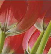I Love CrossStitch ILCS BB-003 5 Tulips II