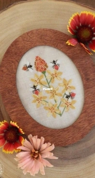 The Blue Flower - Bulbine & Bees PCS + XSD