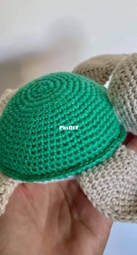 Turtle