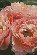 Artecy Cross Stitch - Apricot roses