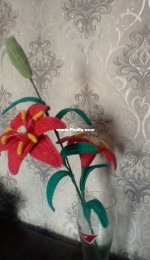 lily