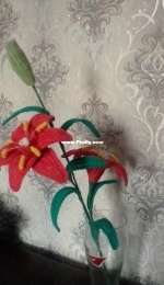 lily