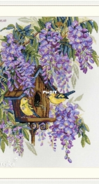 Merejka K-137 Wisteria XSD