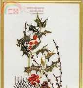 Thea Gouverneur TG848
