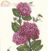 DMC BK248 - Hydrangea / Hortensia