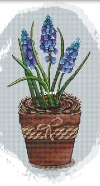 LadyD - Muscari Pot by Daria Smirnova