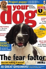 Your Dog - October 2018