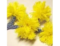 Meli Bondre - Camelia Shanahan - Golden Wattle Flower - Free