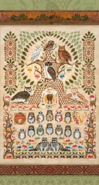 OwlForest Embroidery 0452-SA-E Owl Academy PCS + XSD