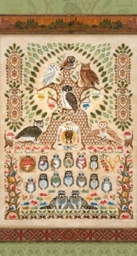OwlForest Embroidery 0452-SA-E Owl Academy PCS + XSD