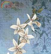 I Love CrossStitch ILCS CK-004 Final Serenity II