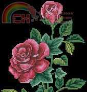 Dimensions 03875 - Roses