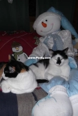 The snowman lap