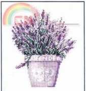 DMC - XC0411-A - Lavender