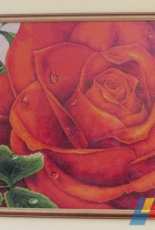 DOME CRAFT 100804 red rose.