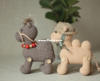 Camels
