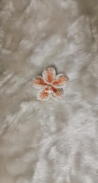 Hair clip