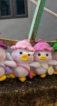 Duck