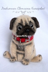 svetlana2211- Svetlana Komarova - Pug Chapa - English
