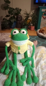 Ulises the froggy