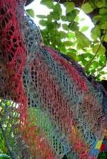 Ripple Lace Pooling Scarf by Sue Grandfield -Free