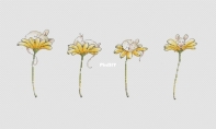 SV-Stitch - I need some sleep by Svetlana Nemiritskaya / svetlaja_maj