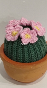 Cactus