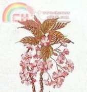 Thea Gouverneur 827 - Prunus