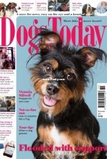 Dogs Today UK November 2017