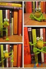 Natalia Shumova- Mr. Frog the yoga master - Spanish- Translated