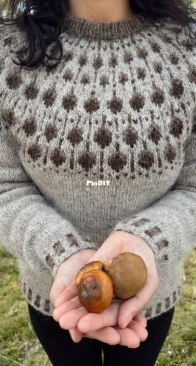 Acorn Sweater by Christina Gjertsen - Sisu Knitwear - English, Danish, Finnish, German, Norwegian