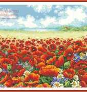DOME 91101 Poppy Field xsd