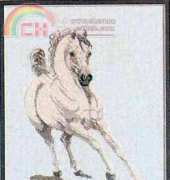 White Stallion from Graphique Needle Arts Book 13 Horses in Motion