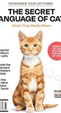 From Inside Your Cat's Mind - The Secret Language Of Cats - Winter 2025/2026