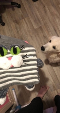 Cat pillowcase
