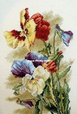 RTO M522 - Viola Wittrockiana