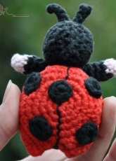 Grietjekarwietje - Ladybug  - Dutch - free