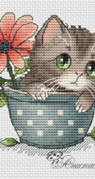 Cat by Anastasia Berg