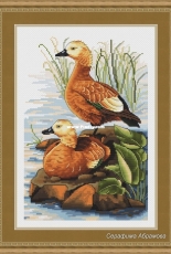 Ducks by Serafima Abramova / Серафима Абрамова