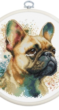 Luca-S BC207 - The French Bulldog  XSD