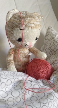 Playful kitty cat