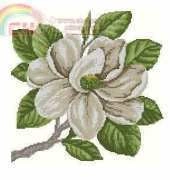 Sudberry House #401 - Magnolias II